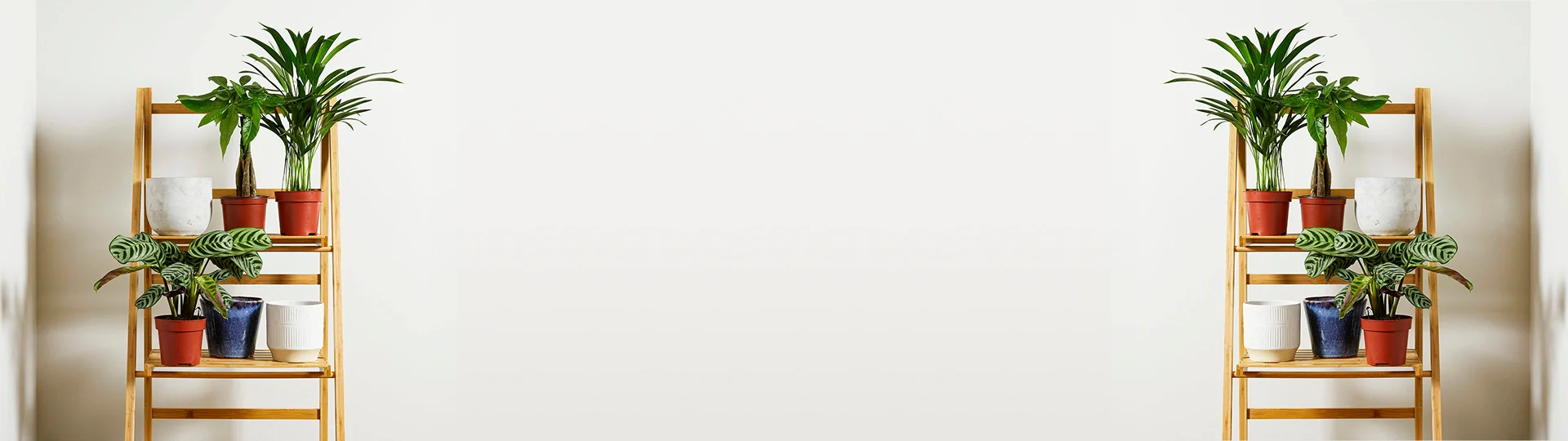 Transform Your Space With Nature